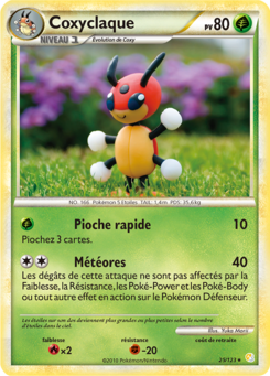 Coxyclaque 25/123