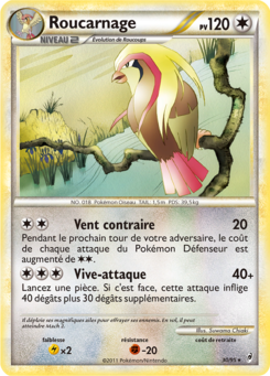 Roucarnage 30/95