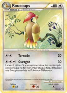 Roucoups 48/95