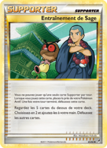 Entraînement de Sage 85/95