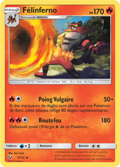Félinferno 17/73