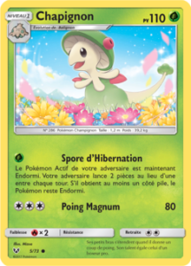 Chapignon 5/73