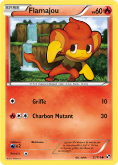 Flamajou 21/114