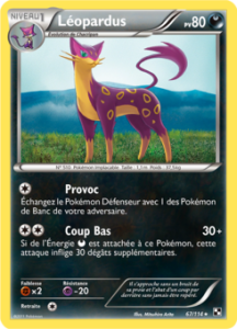 Léopardus 67/114