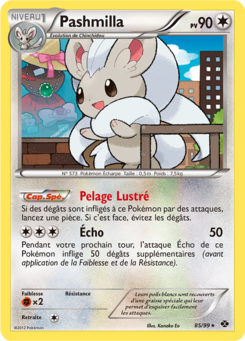Pashmilla 85/99