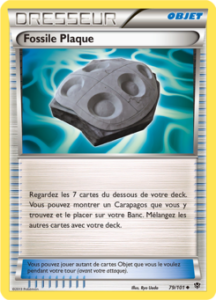 Fossile Plaque 79/101