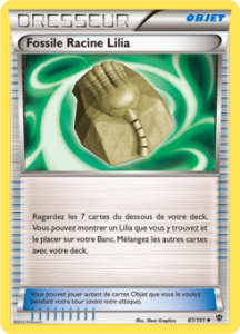 Fossile Racine Lilia 87/101