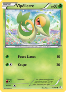 Vipélierre 11/149