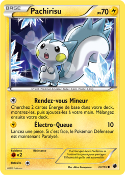 Pachirisu 37/116