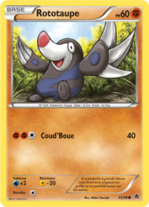 Rototaupe 55/98