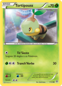 Tortipouss 1/135