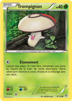 Trompignon 12/135