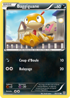 Baggiguane 85/135