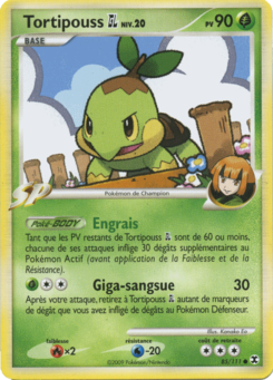 Tortipouss 85/111