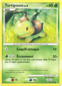 Tortipouss 131/147