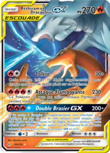 Reshiram et Dracaufeu GX 20/214