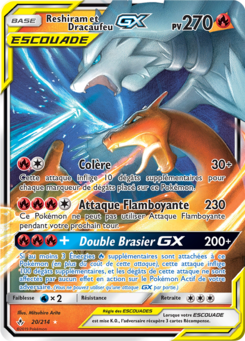 Reshiram et Dracaufeu GX 20/214