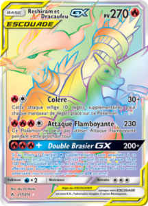 Reshiram et Dracaufeu GX 217/214