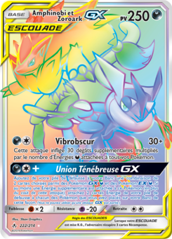 Amphinobi et Zoroark GX 222/214