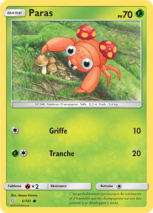 Paras 6/181