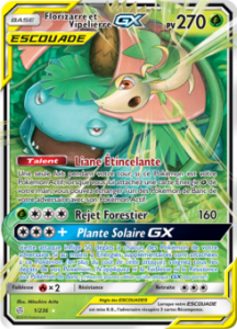 Florizarre et Vipélierre GX 1/236