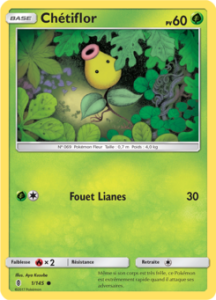 Chétiflor 1/145