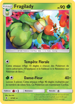 Fragilady 5/145