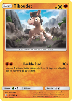 Tiboudet 75/145