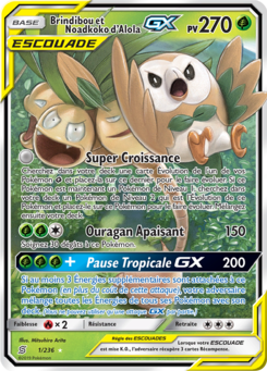 Brindibou et Noadkoko d'Alola GX 1/236