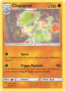 Chapignon 108/236