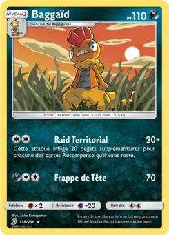 Baggaïd 138/236
