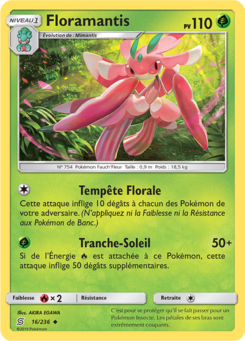 Floramantis 16/236