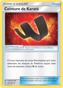 Ceinture de Karaté 201/236