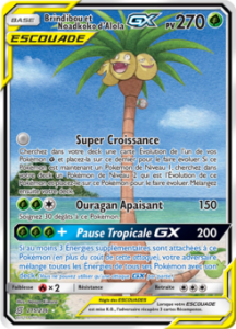 Brindibou et Noadkoko d'Alola 215/236