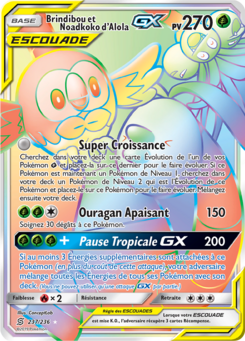 Brindibou et Noadkoko d'Alola GX 237/236