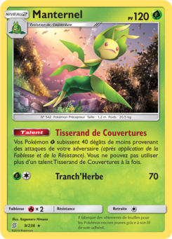 Manternel 9/236