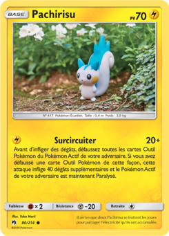 Pachirisu 80/214