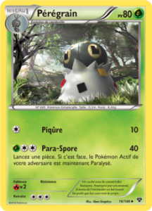 Pérégrain 16/146