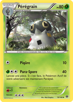 Pérégrain 16/146