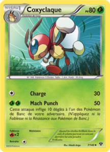 Coxyclaque 7/146