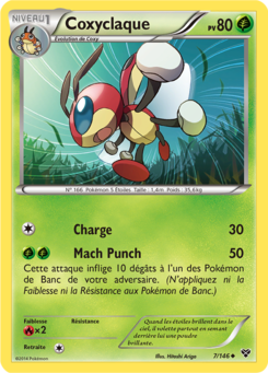 Coxyclaque 7/146