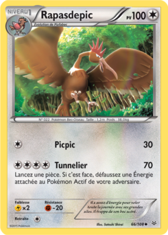 Rapasdepic 66/108