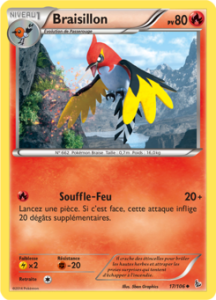 Braisillon 17/106