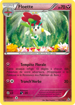Floette 65/106