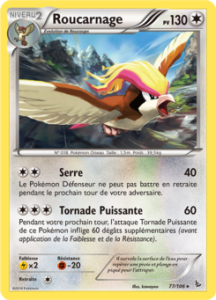 Roucarnage 77/106