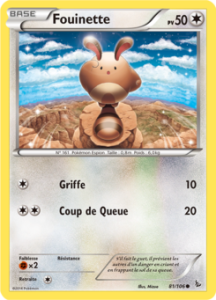 Fouinette 81/106