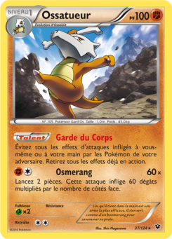 Ossatueur 37/124