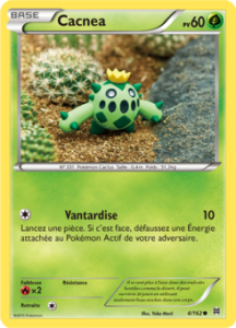 Cacnea 4/162