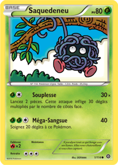 Saquedeneu 1/114