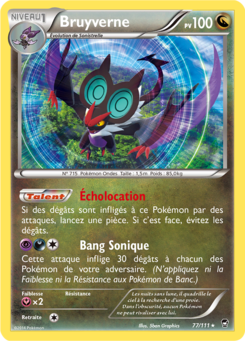 Bruyverne 77/111